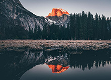 舒服😋菲尔米诺年薪2000万欧&联赛报名被撤 只踢亚冠10场造10球